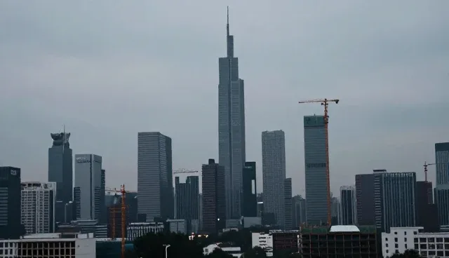 团队管理中的误区与科学选型建议